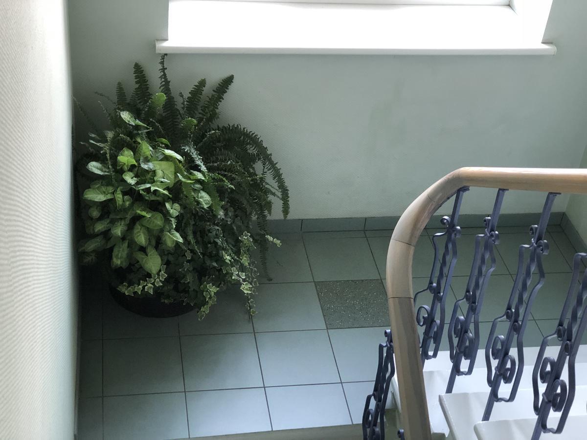 Hotel Kolumbs リエパーヤ エクステリア 写真